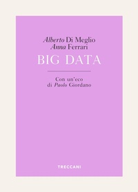 Enlarge image Cover: Big Data - Treccani
