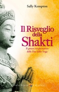 Cover: Il risveglio della Shakti - Verdechiaro