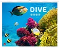 Cover: Dive 2027 - Delius Klasing