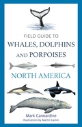 Cover: Field Guide to Whales, Dolphins and Porpoises of North America - Bloomsbury Wildlife