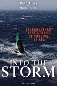 Enlarge image Cover: Into the Storm - Bloomsbury Publishing PLC