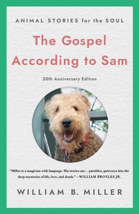 Enlarge image Cover: The Gospel According to Sam - Morehouse Publishing