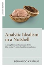 Cover: Analytic Idealism in a Nutshell - Iff Books