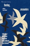 Cover: Fleeting Encounters - WriteSpace Publishing