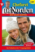 Cover: Im Schatten der Vergangenheit - Blattwerk Handel