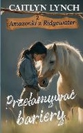 Cover: Przelamywac bariery - Shenanigans Press