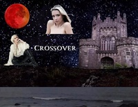 Enlarge image Cover: Crossover - David Breen