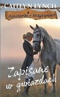 Cover: Zapisane w gwiazdach - Shenanigans Press