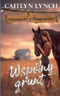 Cover: Wspolny grunt - Shenanigans Press
