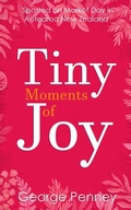 Cover: Tiny Moments of Joy - Swashbuckler Press