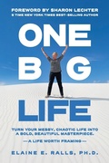 Cover: One Big Life - One Big Life Media