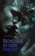 Cover: Sch&uuml;sse in der Nacht - e-artnow