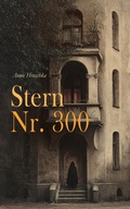 Cover: Stern Nr. 300 - e-artnow