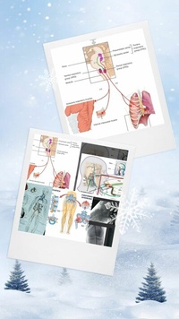 Abbildung von: Medcrime Criminal Torturing by Gleneagles Ihh - Publishdrive