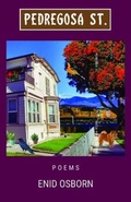 Cover: Pedregosa St. - Sheila-Na-Gig Editions