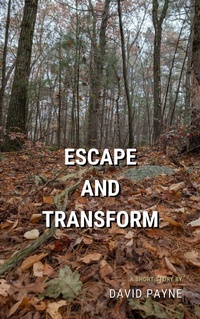Enlarge image Cover: Escape and Transform - David Payne