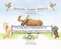Cover: Benjamin Poodle Presents The Story of The Unlikely Friendship of Fergus Frog and Timothy Toad - Fulton Books, Inc.