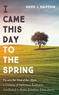 Cover: I Came This Day to the Spring - Wipf and Stock Publishers