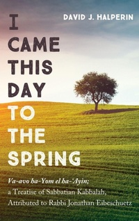 Enlarge image Cover: I Came This Day to the Spring - Cascade Books
