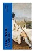 Cover: Schattenspiel um Goethe - e-artnow