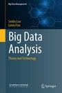 Cover: Big Data Analysis - Springer