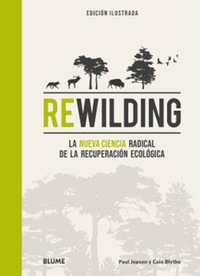 Bild: Rewilding - Blume