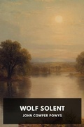 Cover: Wolf Solent - Raven Book