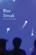 Cover: Blue Streak - Glass Lyre Press
