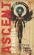 Cover: Ascent of Angels - Shawn Whitney