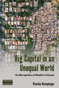 Cover: Big Capital in an Unequal World - Berghahn Books
