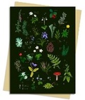Cover: Anna Stead Forest Floor Greeting Card Pack - Flame Tree Publishing