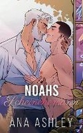 Cover: Noahs Scheinehemann - Heartbound Press