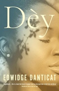 Cover: Dey - riverrun