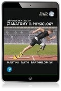 Cover: Fundamentals of Anatomy and Physiology, Global Edition - Pearson Education Limited