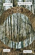 Cover: Jagged Ontologies - University of Minnesota Press