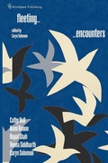 Cover: Fleeting Encounters - WriteSpace Publishing