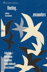 Enlarge image Cover: Fleeting Encounters - WriteSpace Publishing
