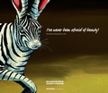 Cover: "I've never been afraid of beauty!" - BUCHWERK am K&auml;mpfelbach