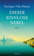 Cover: Dieser sinnlose Nebel - Wallstein