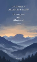 Cover: Stimmen auf Abstand - Wallstein
