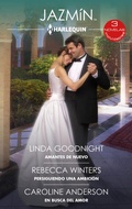 Cover: Amantes de nuevo - Persiguiendo una ambici&oacute;n - En busca del amor - Harlequin, una divisi&oacute;n de HarperCollins Ib&eacute;rica, S.A.