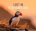 Cover: Lost in Newfoundland: Volume 2 - Breakwater Books