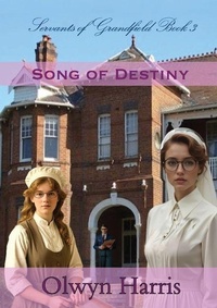 Enlarge image Cover: Song of Destiny - Reading Stones Publishing
