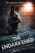 Cover: The Endarkened - The Borrowed World