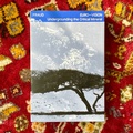 Cover: EURO-VISION - K. Verlag Anna-Sophie Springer