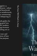 Cover: The Rain Will Wash Us Away - Matthew Edward Petchinsky