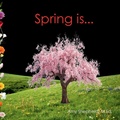 Cover: Spring is... - Little Dandelion Press