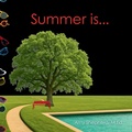 Cover: Summer is... - Little Dandelion Press
