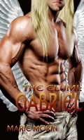 Cover: The Elumi: Gabriel - Madris DePasture DBA New Concepts Publishing