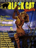 Cover: Black Cat Weekly #220 - Wildside Press LLC
